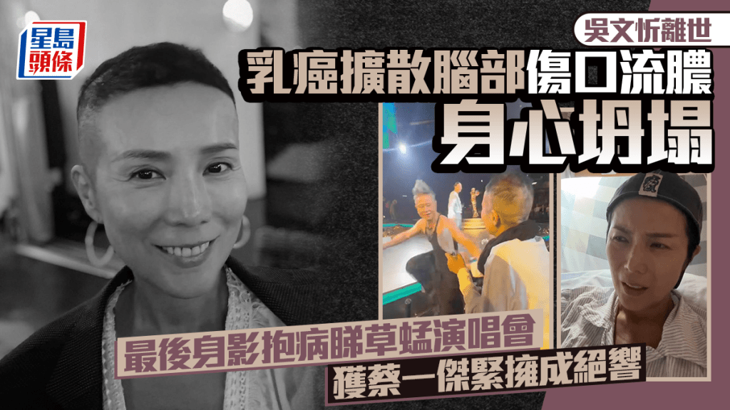 吳文忻離世丨乳癌擴散腦部傷口流膿身心坍塌 最後身影抱病睇草蜢獲蔡一傑擁抱成絕響