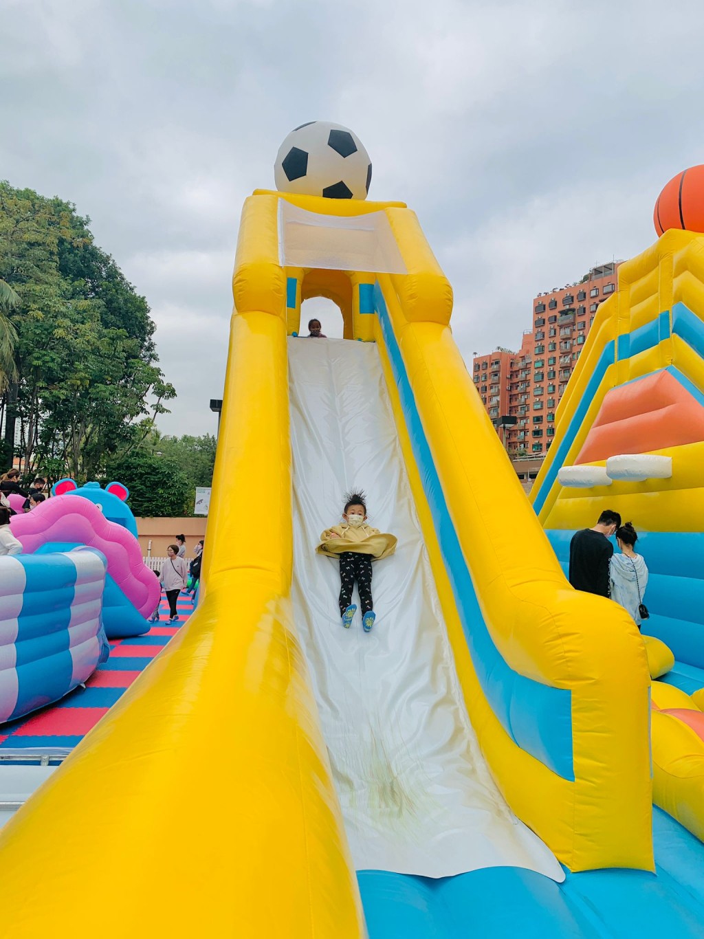 (圖片提供:mrs1amology) (圖片提供:mrs1amology)