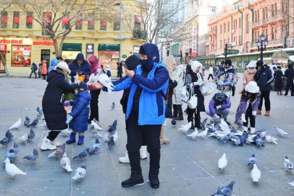 哈爾濱中央大街白鴿常獲遊客餵食。網絡圖片