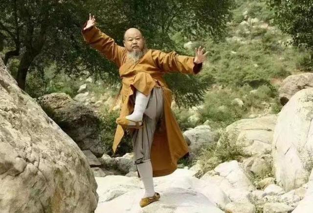 延庄大师学到外界称为“达摩内功”的上层禅功柔拳。 网图
