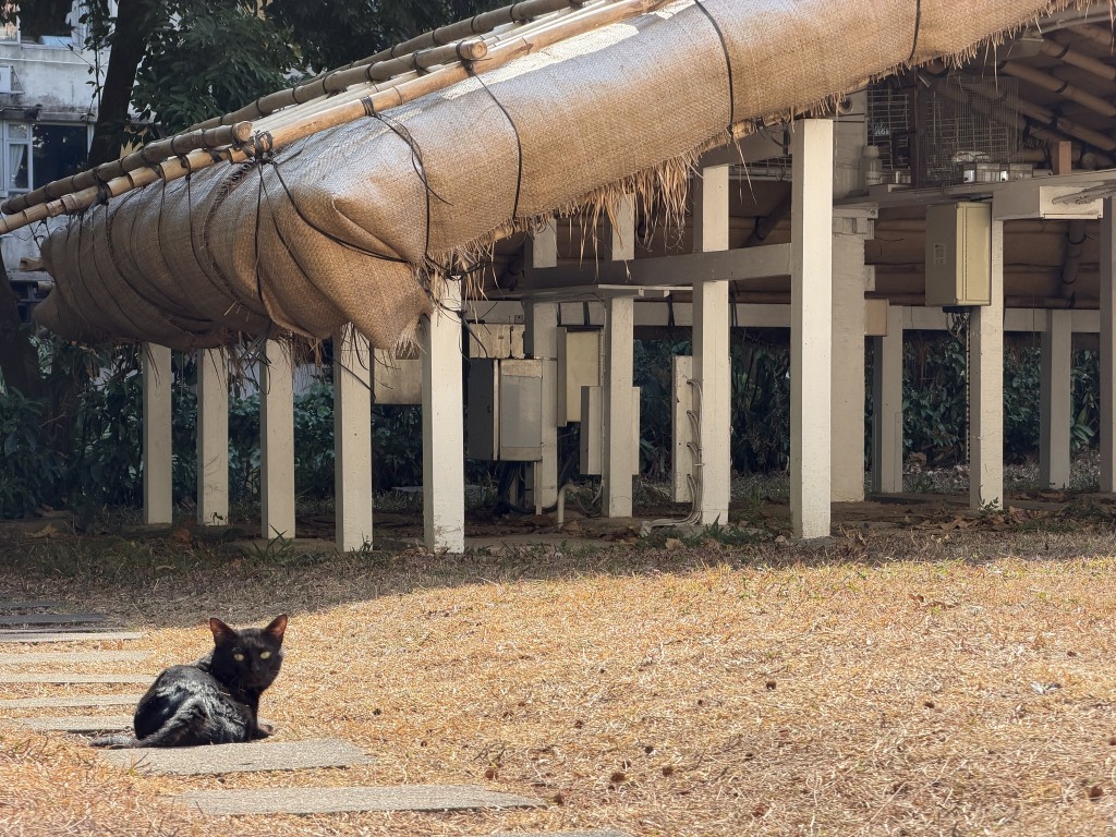 facebook截圖（資料來源：香港天文台 HKO facebook專頁）