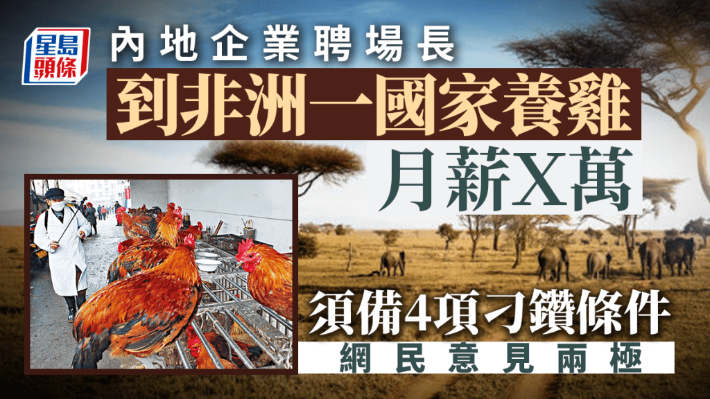 內地企業高薪聘場長去非洲養雞惹議。