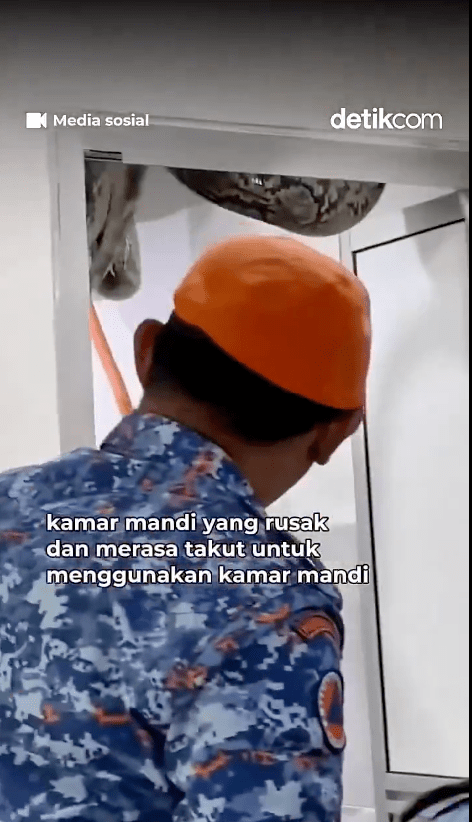 一條長達5米、重約60公斤的巨型蟒蛇，竟然藏身民居浴室的假天花內，嚇得一家三母女魂飛魄散，民防部隊奉召到場捕捉。X@detikcom