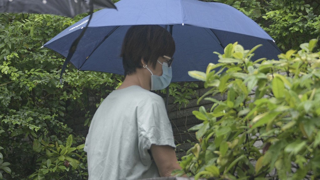 涉案被告林美寶。 資料圖片