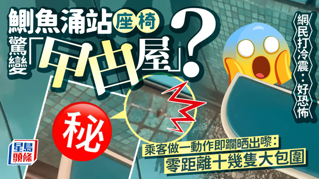 港鐵鰂魚涌站座椅驚變曱甴屋? 乘客做一動作即躝晒出嚟:零距離十幾隻大包圍