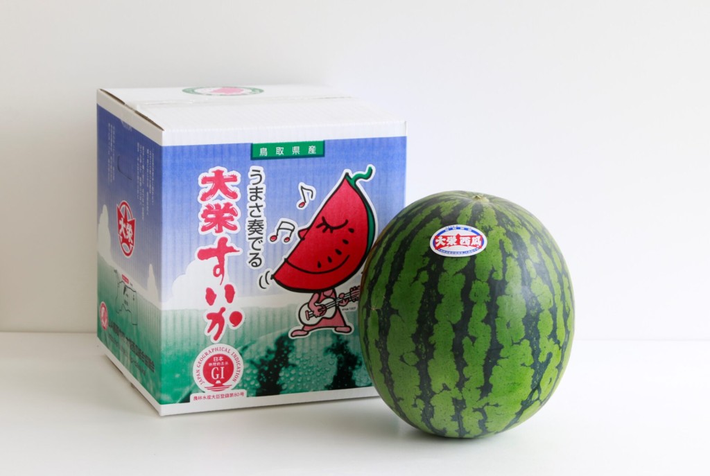 「大榮西瓜」是當地最早註冊成商標的一種，大隻又甜。