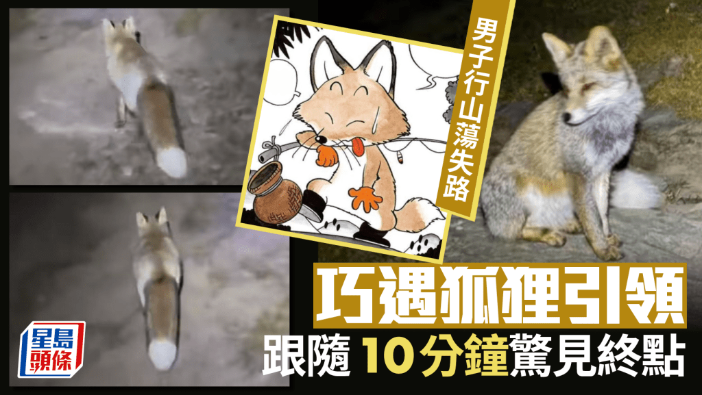 男子夜困五台山遇靈狐引路  跟隨10分鐘驚見臨近終點