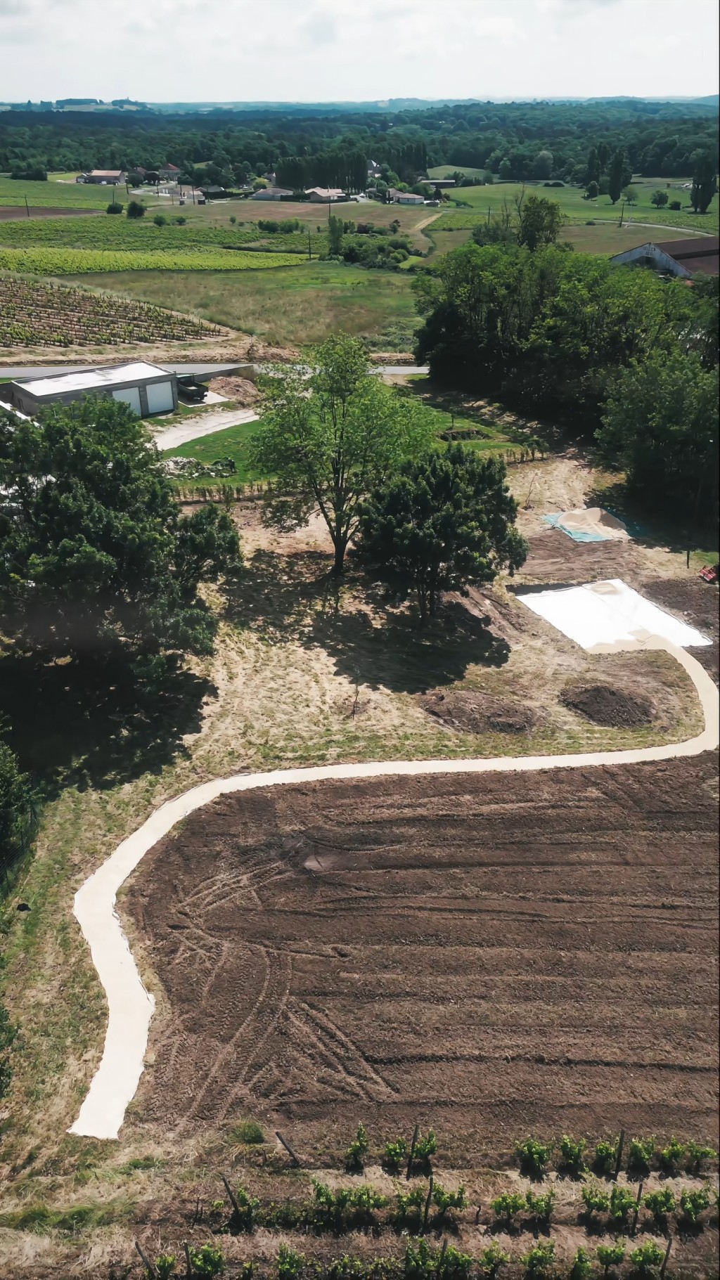 廣闊的草地讓整個花園空間感十足。 廣闊的草地讓整個花園空間感十足。