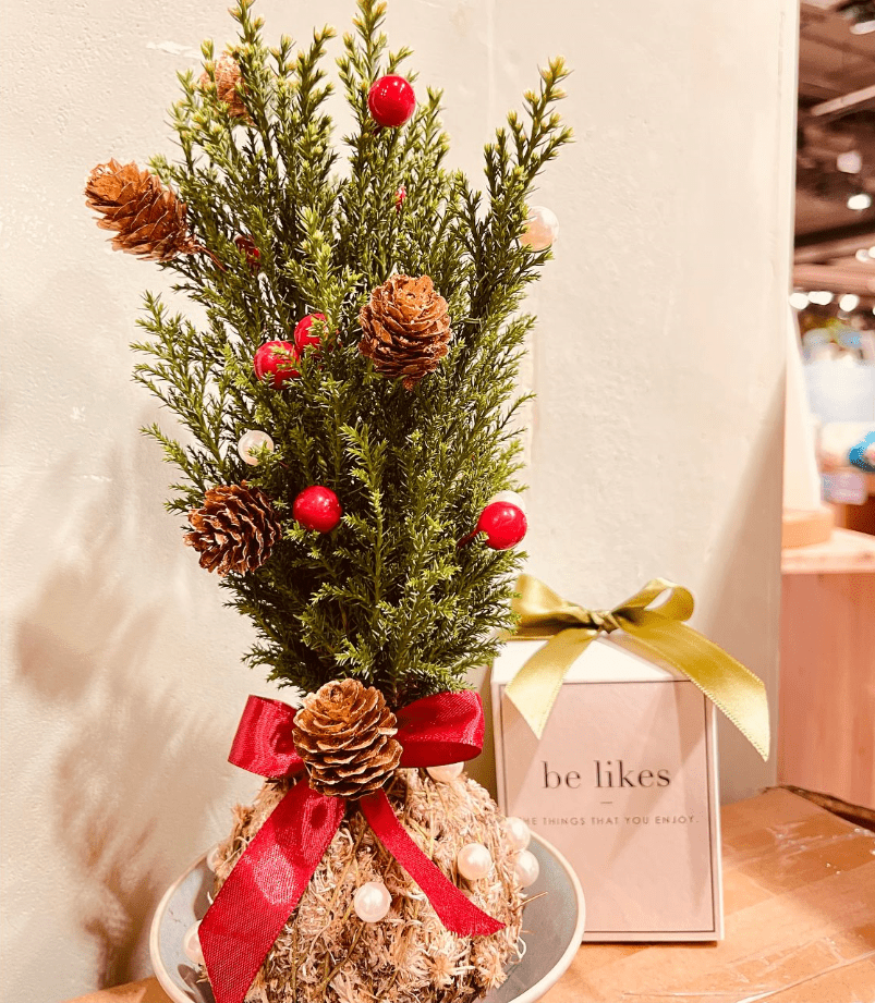 Be Likes- 咖啡渣苔玉盆景工作坊（圖片來源：誠品）