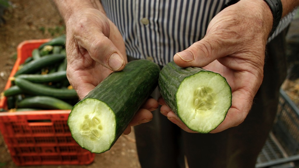 CDC呼吁除了不要食用有问题的青瓜，曾接触受污染青瓜的物品也需清洗。 美联社