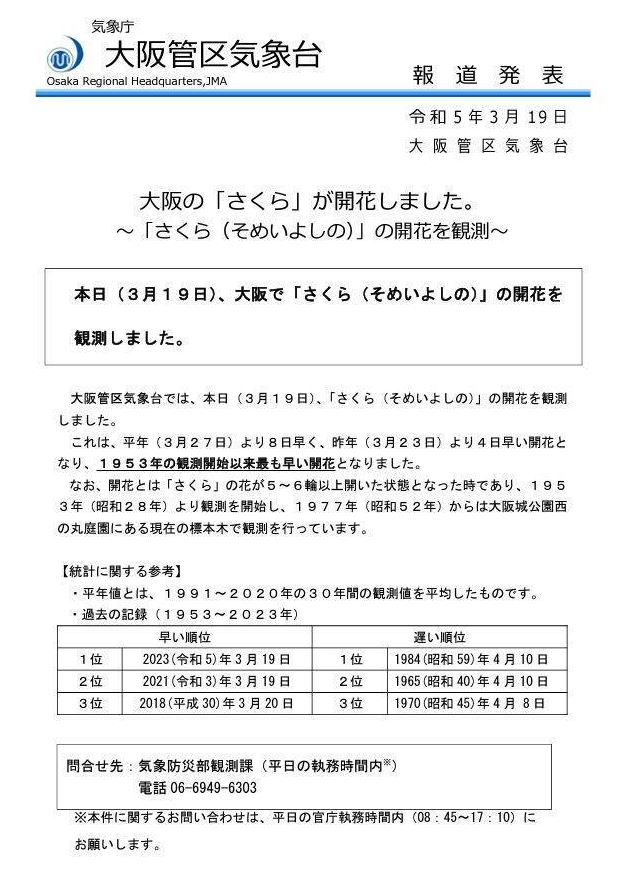 大阪氣象台確認大阪城公園的西之丸庭園染井吉野櫻已達5朵開花的標準。（大阪氣象台網頁）