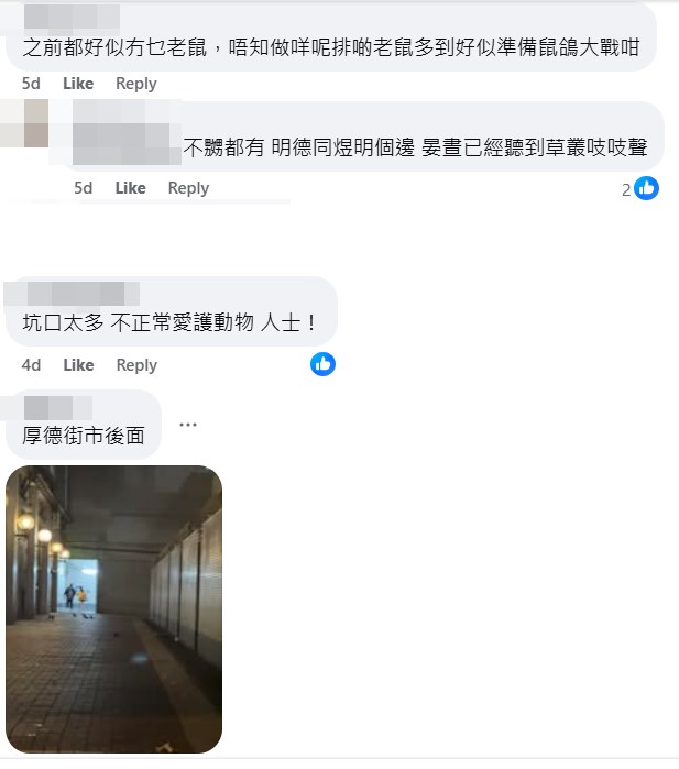 网民上载厚德（邨）街市后面的鸽患相片。fb「将军澳主场」截图