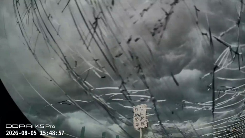 一輛在高速公路行駛的比亞迪後擋風玻璃飛脫，擊毀後車「大銀幕」。抖音