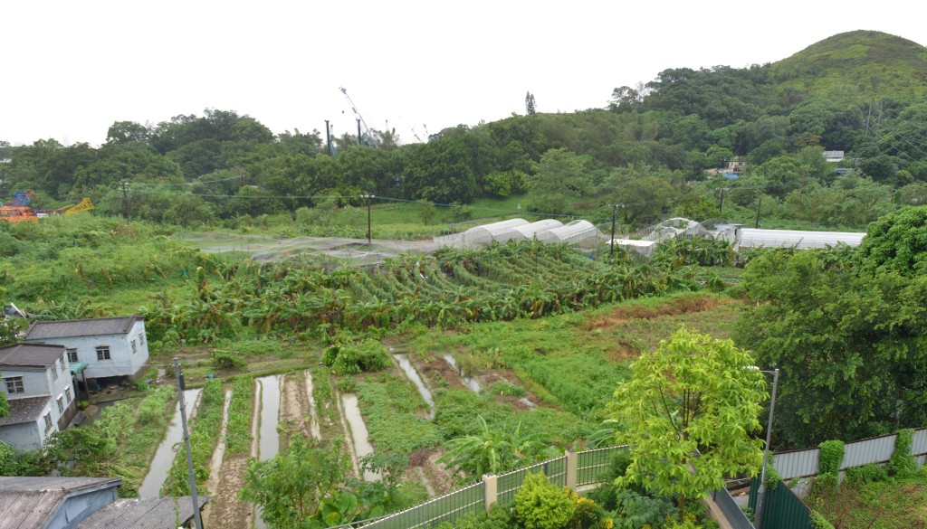林鄭月娥指,已經要求發展局長,土地共享計劃需要按照她訂立的4大原則。資料圖片