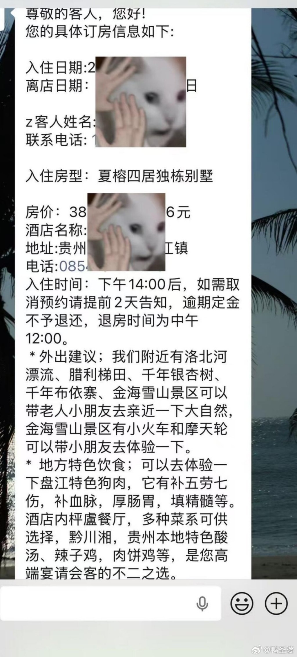 网民预订酒店后收到当地推荐狗肉讯息。