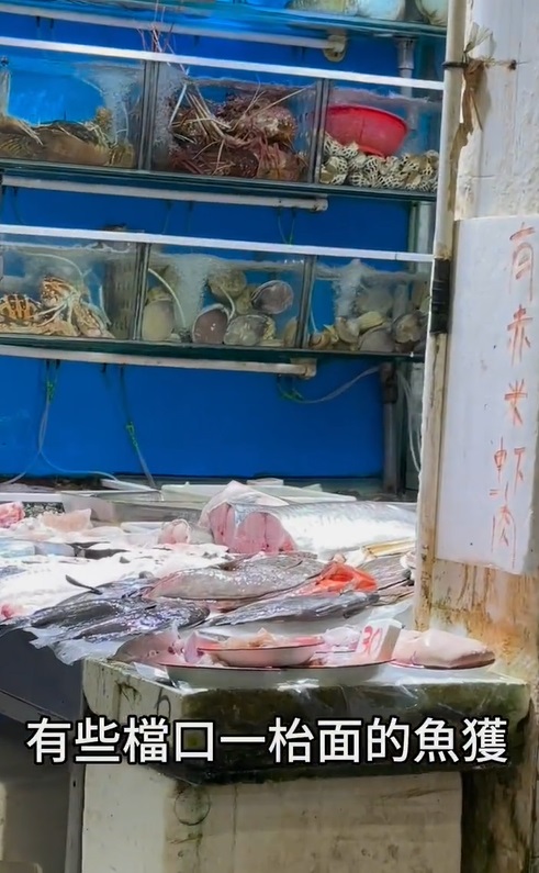 附近檔口亦有大量魚獲仍未賣出（小紅書@嫁給香港漁民佬yoyo）