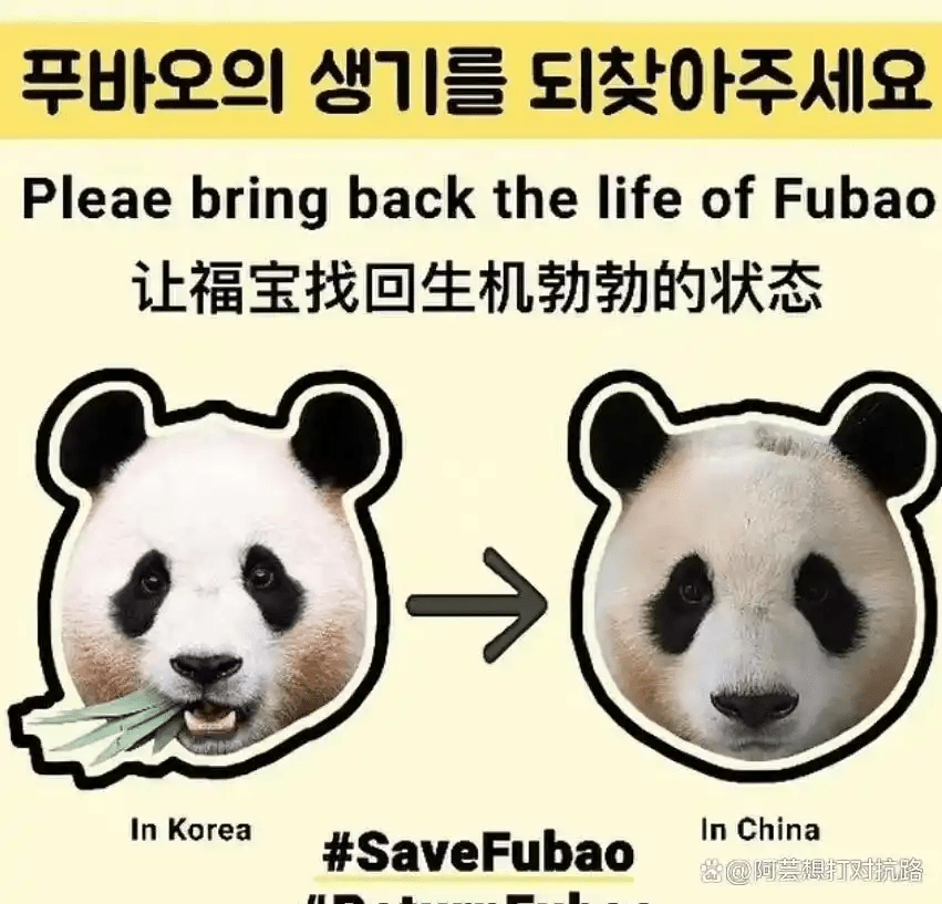 кɡŰ
