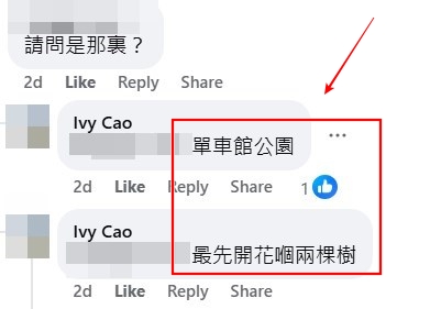 facebook截图（资料来源：Ivy Cao＠facebook将军澳主场）