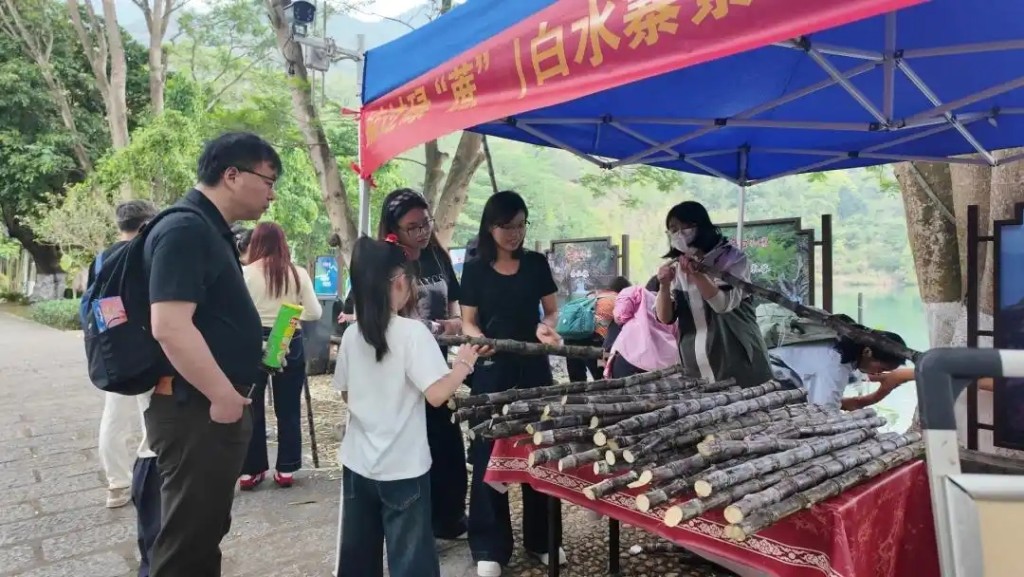 广州蔗农推“10元3条任斩”贱卖止蚀，景区助农变“登山神器”。