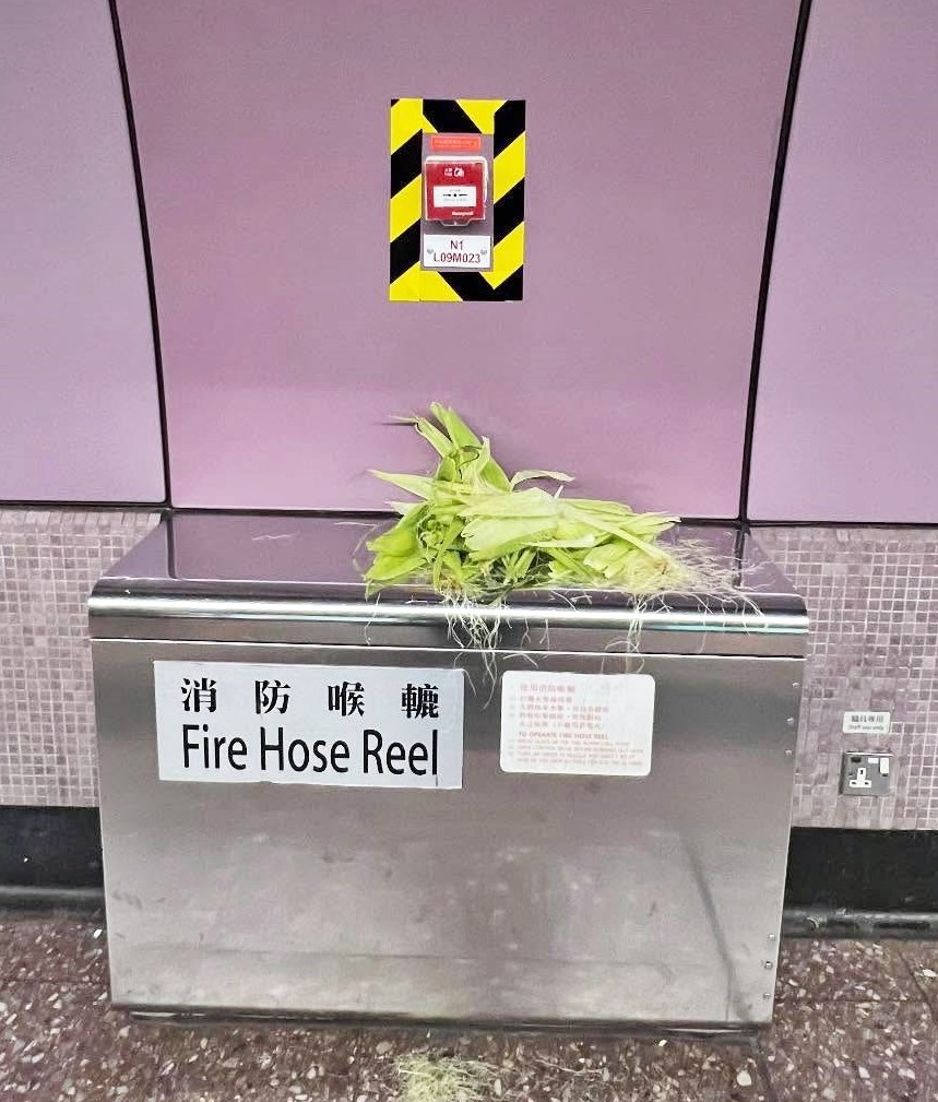 Threads截圖（資料來源：jesselhf＠Threads）