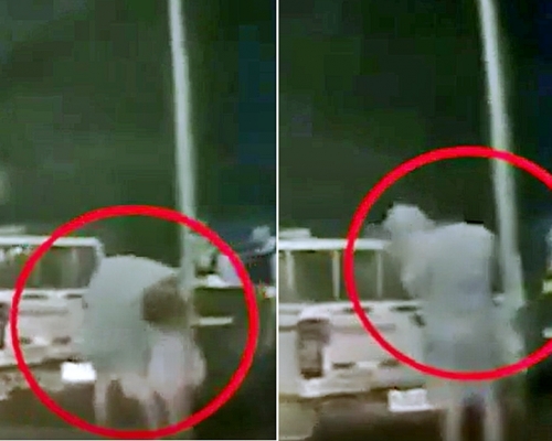 廣東肇慶近日網傳一段「男子打人被傳喚後,將女兒扔上警車車尾」的片段。 影片截圖