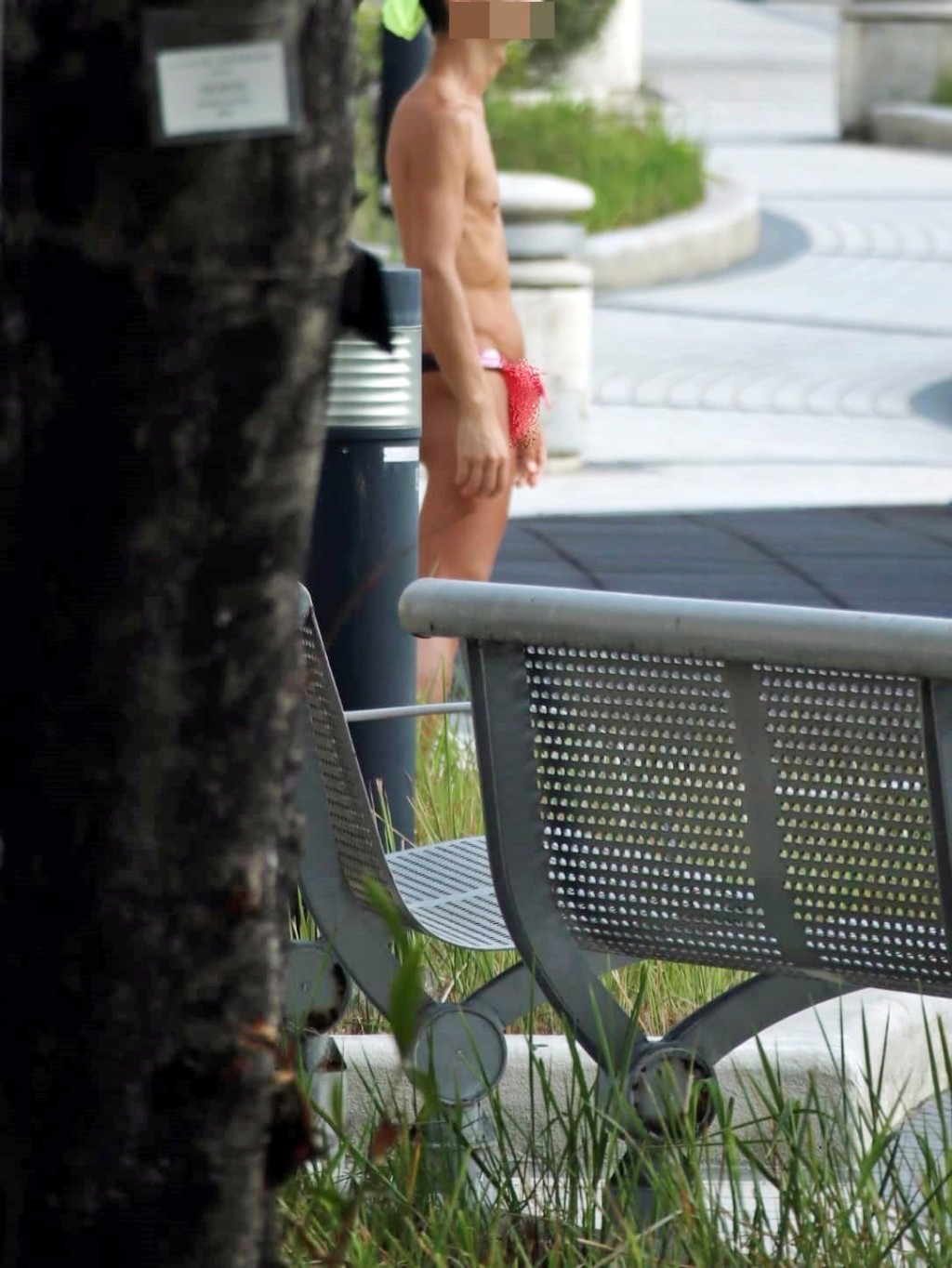 屯门河畔春满枝头，有女街坊到公园仔赏花时却遇上三角裤怪客。fb「真.屯门友」截图