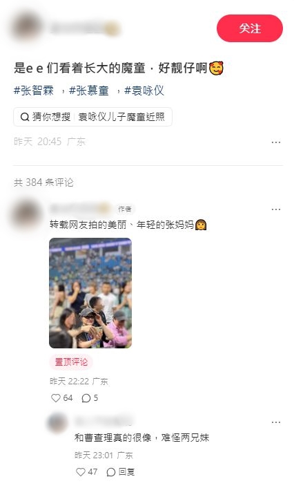 張智霖 張智霖