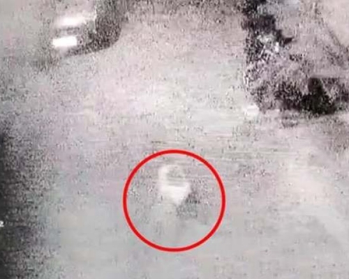 少女被掟在馬路上昏迷。網圖