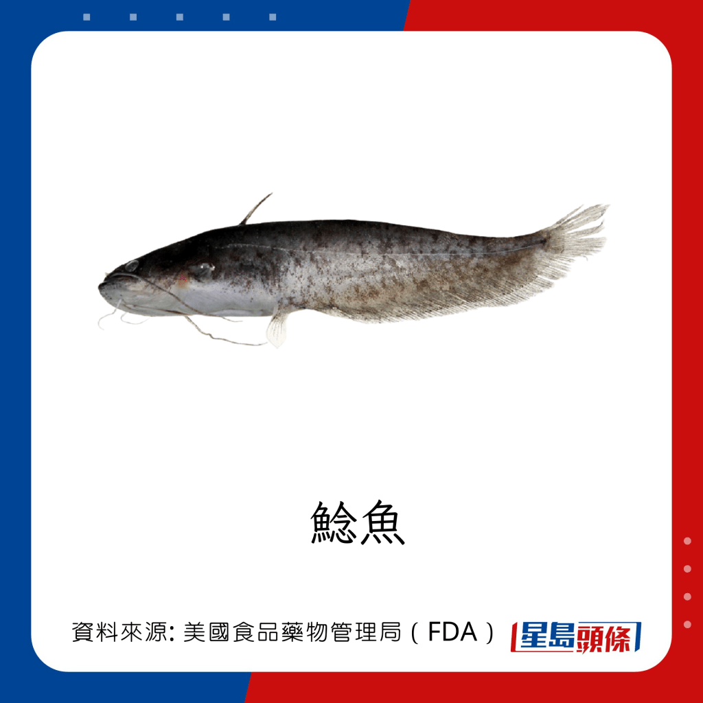 低水銀魚類 鯰魚