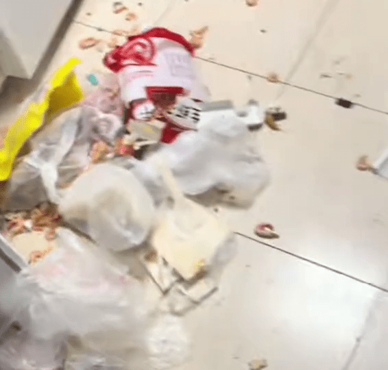 雪柜被炸得“粉身碎骨”，现场一片狼藉。