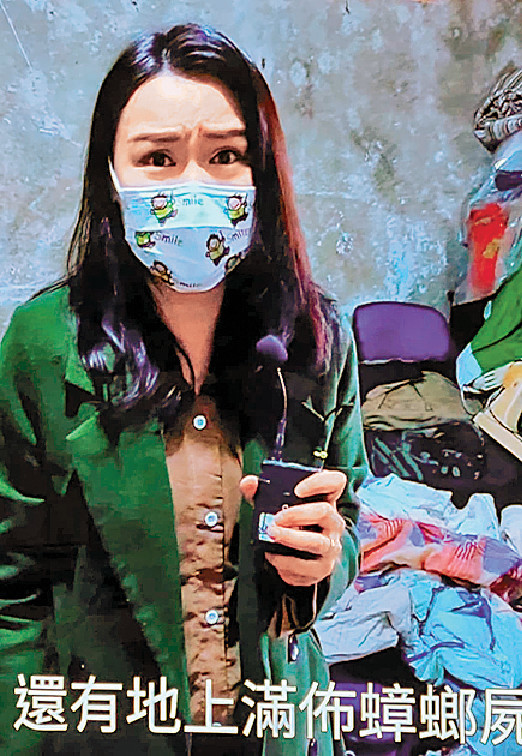 ■黃穎君任《東張》主持時勇闖「曱甴屋」。 ■黃穎君任《東張》主持時勇闖「曱甴屋」。