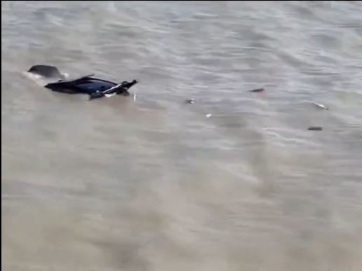 私家車穿越圍欄及河堤後插入長江，車內有人死亡。抖音