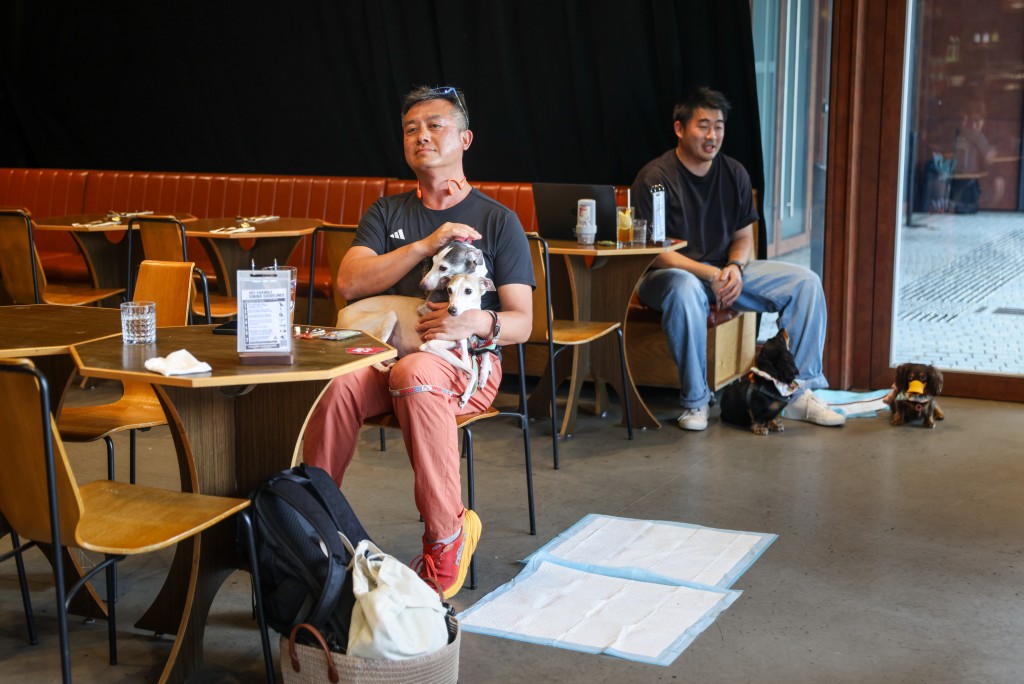 容許狗隻進入獲准食肆的措施自7月9日實施至今已滿一個月。 容許狗隻進入獲准食肆的措施自7月9日實施至今已滿一個月。