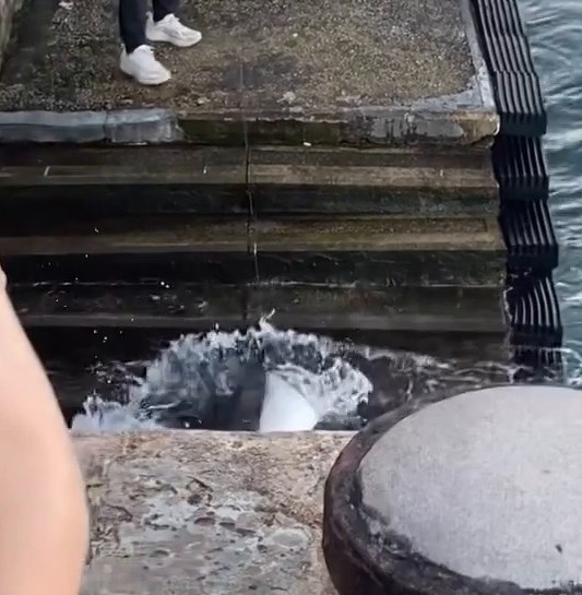 facebook截圖（資料來源：Ken Yu＠facebook筲箕灣西灣河關注組）