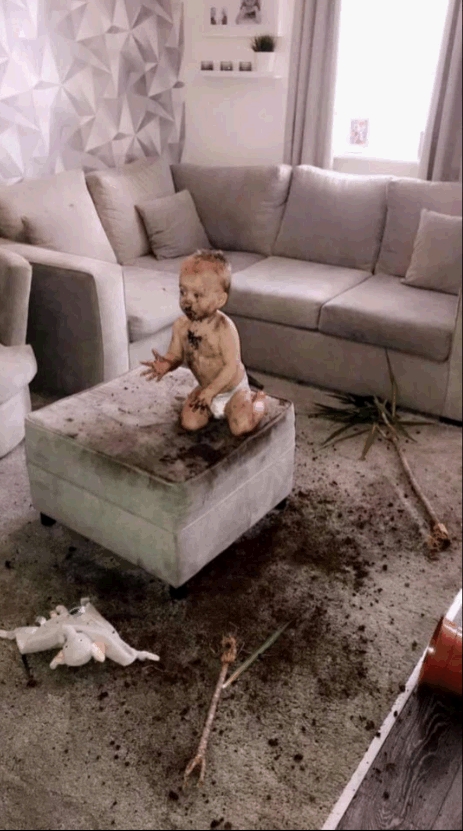 Jaxon 搗蛋罪證:沙發全被弄髒。網上圖片