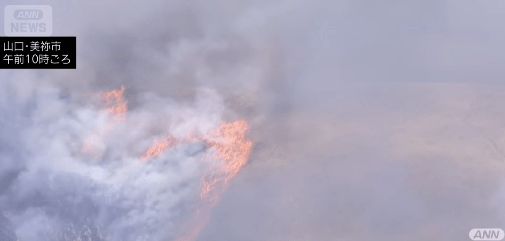 警方初步表示,死者為參與點火的工作人員之一,山坡起火後火勢迅速蔓延,其衣物遭火焰波及。ANN NEWS 警方初步表示,死者為參與點火的工作人員之一,山坡起火後火勢迅速蔓延,其衣物遭火焰波及。ANN NEWS