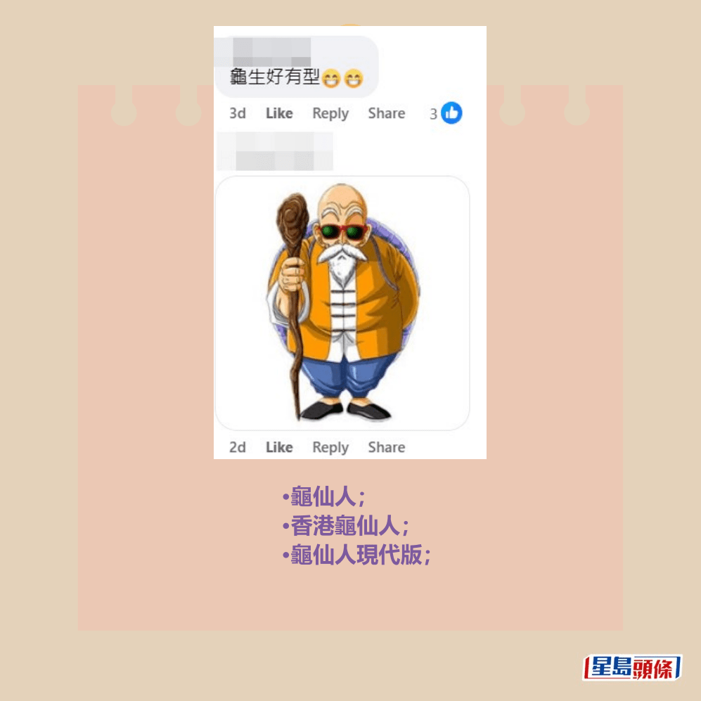•龜仙人; •香港龜仙人; •龜仙人現代版; fb「車cam L(香港群組)」截圖 •龜仙人; •香港龜仙人; •龜仙人現代版; fb「車cam L(香港群組)」截圖