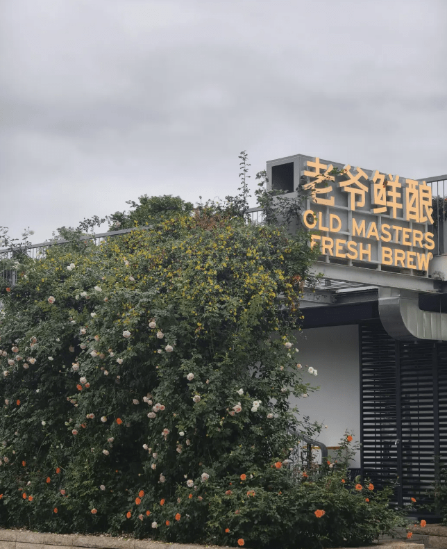深圳福田區香蜜公園被發現有劇毒植物。(@深圳大件事)