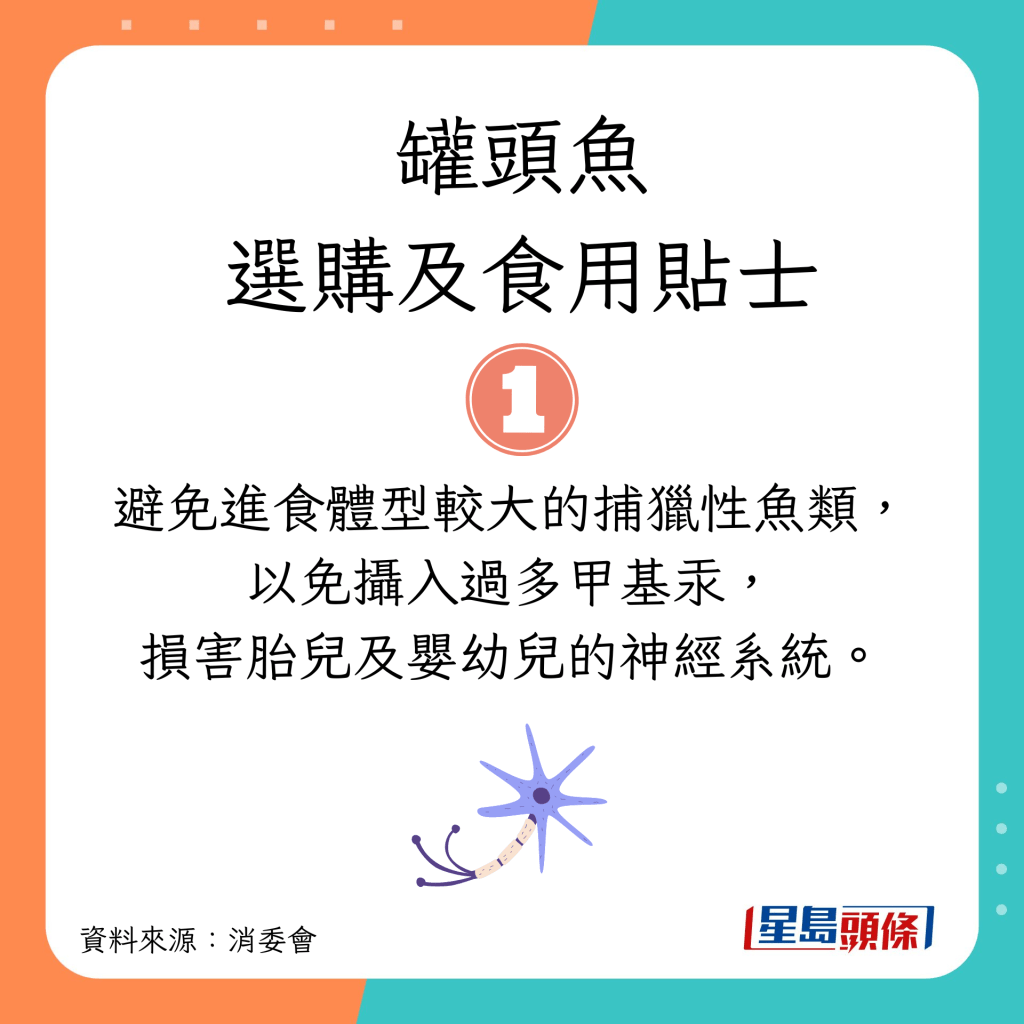 消委會選購罐頭魚及食用貼士｜避免進食體型較大的捕獵性魚類，以免攝入過多甲基汞，損害胎兒及嬰幼兒的神經系統。