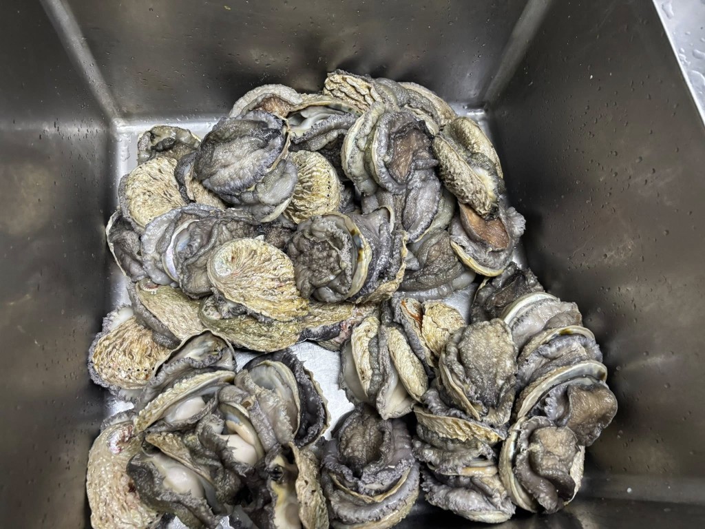 店方為盛宴準備鮑魚、花甲等食材。fb「東記私房菜」圖片