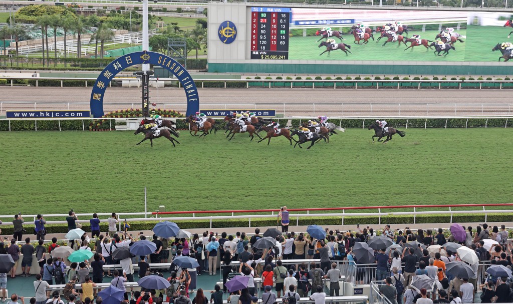 相信各位馬迷必定有心水馬匹和騎師