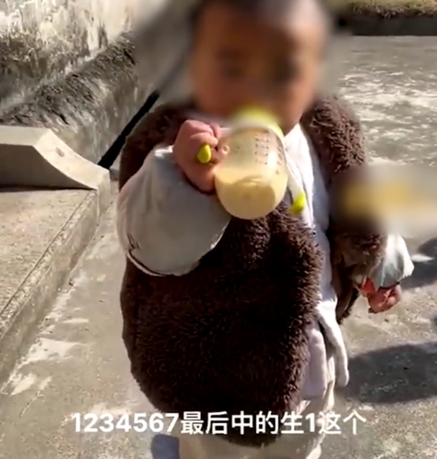鏡頭聚焦在一名正在喝奶的小男孩身上。