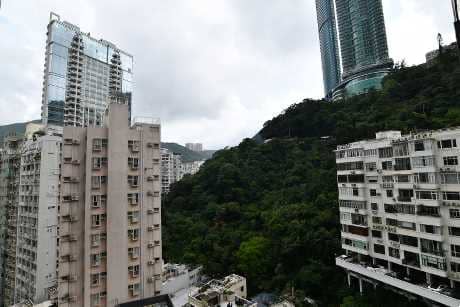 站於露台，可望市景及翠綠山景。