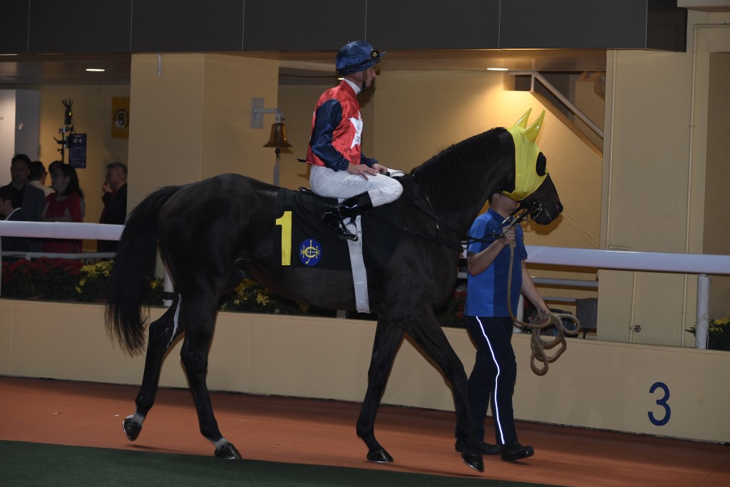 「赤馬雄風」今仗有望贏馬補中。