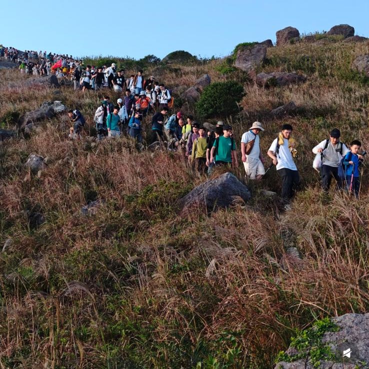 踏入10月至11月的芒草時間，大東山上尤其多人。小紅書截圖