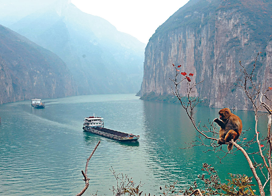 这是长江有名的瞿塘峡，两岸的断崖壁立，令不少游人赞叹。