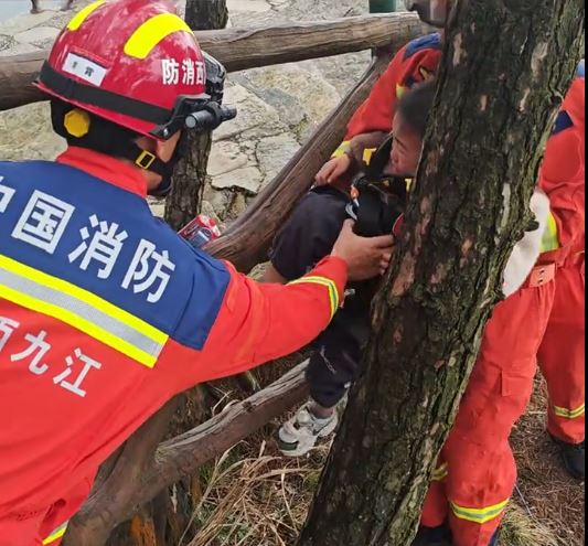 江西有男童因逗玩幼猴，被母猴拉落10米悬崖。