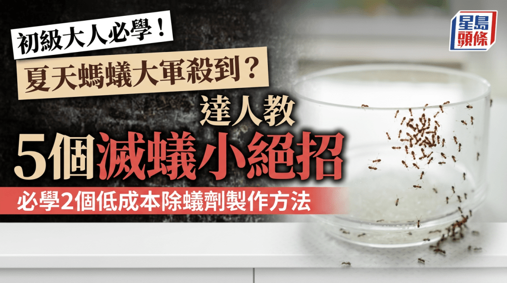 初級大人必學！夏天螞蟻大軍殺到？達人教5個滅蟻小絕招 必學2個低成本除蟻劑製作方法