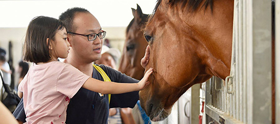 （圖片來源：香港賽馬會）