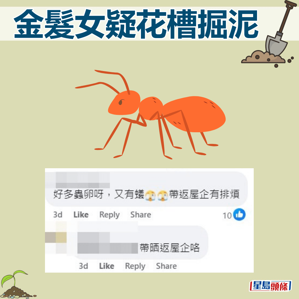 网民：好多虫卵呀，又有蚁，带返屋企有排烦。fb「筲箕湾西湾河关注组」截图